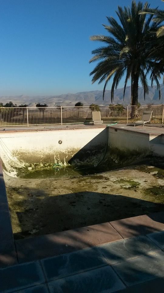 Before Pool Service 
