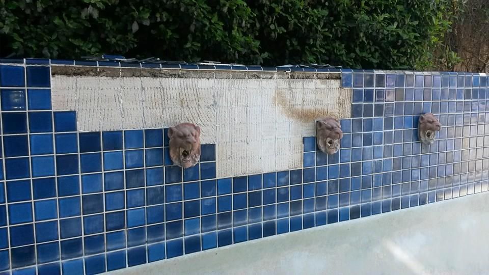 Before Pool Service 