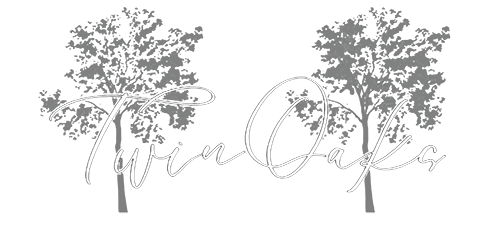 logo-image