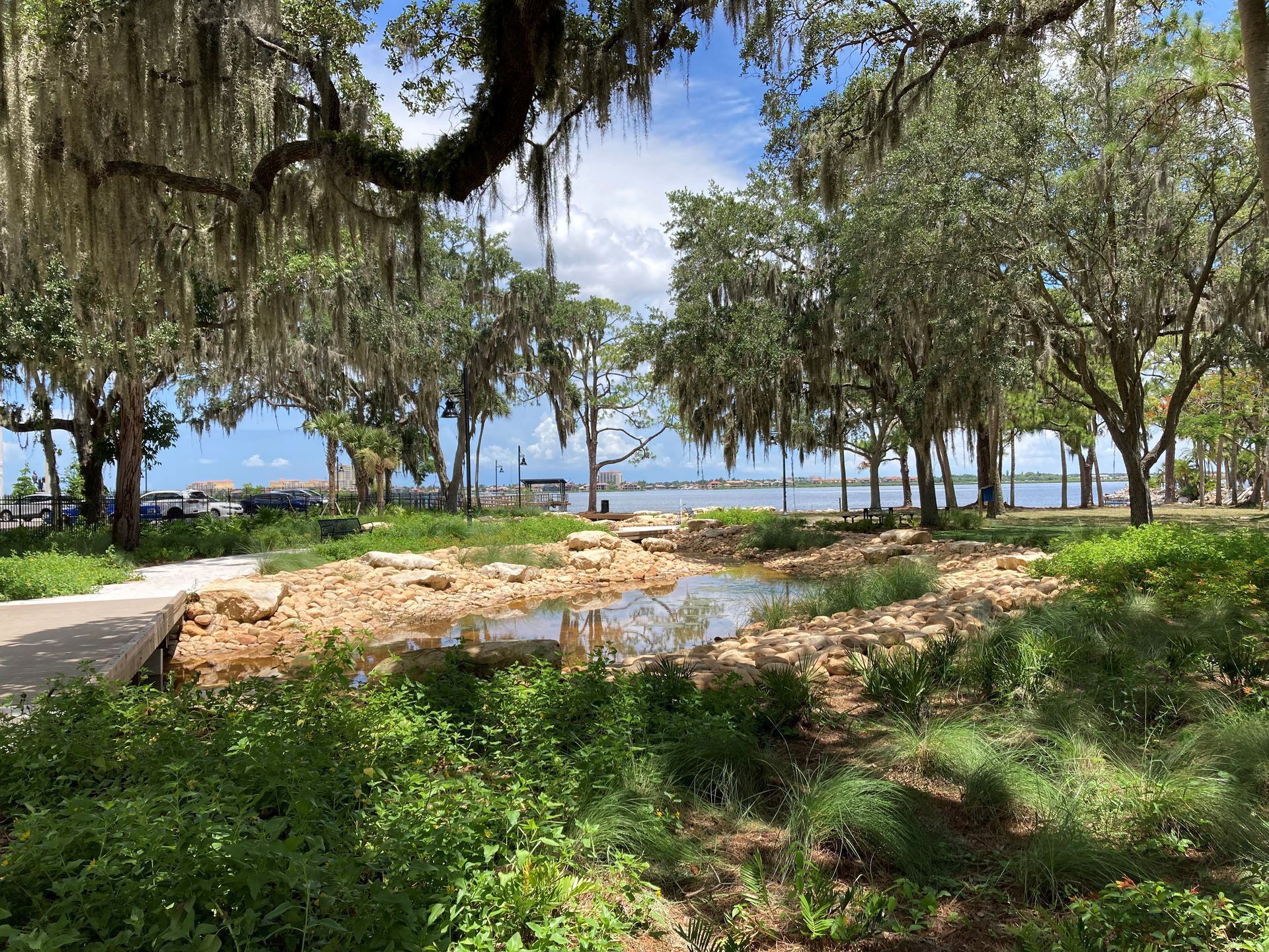 A park with trees and spanish moss hanging from them and a body of water in the background.