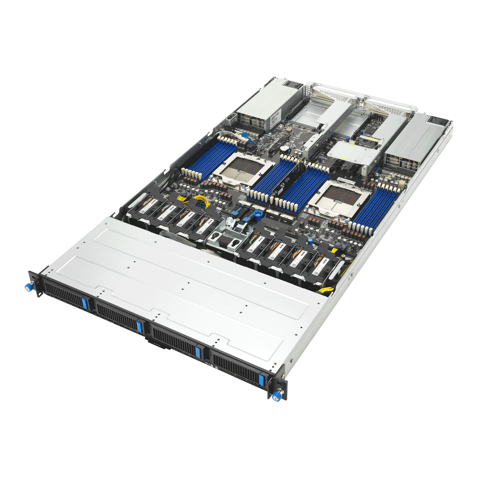 Procyon