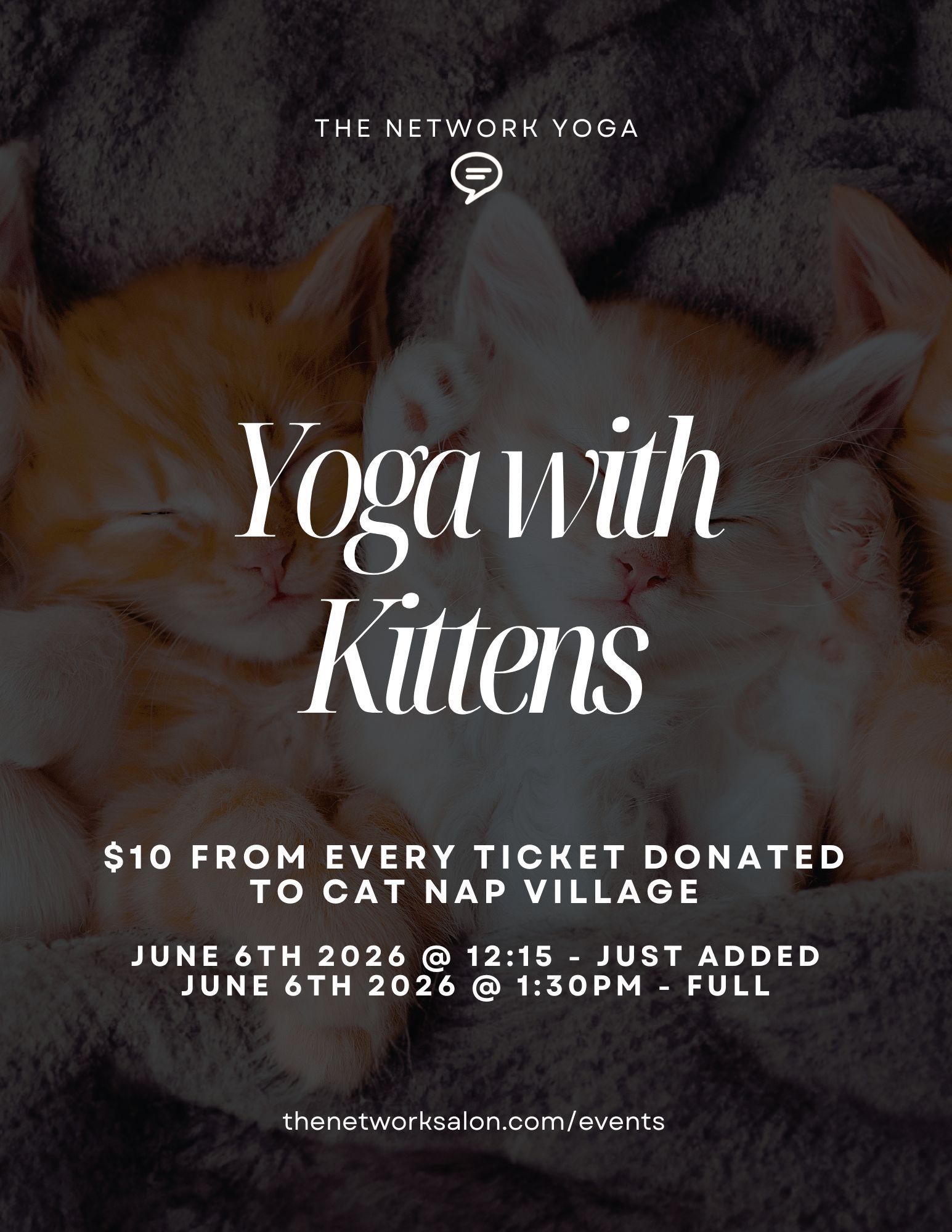 Kitten Yoga