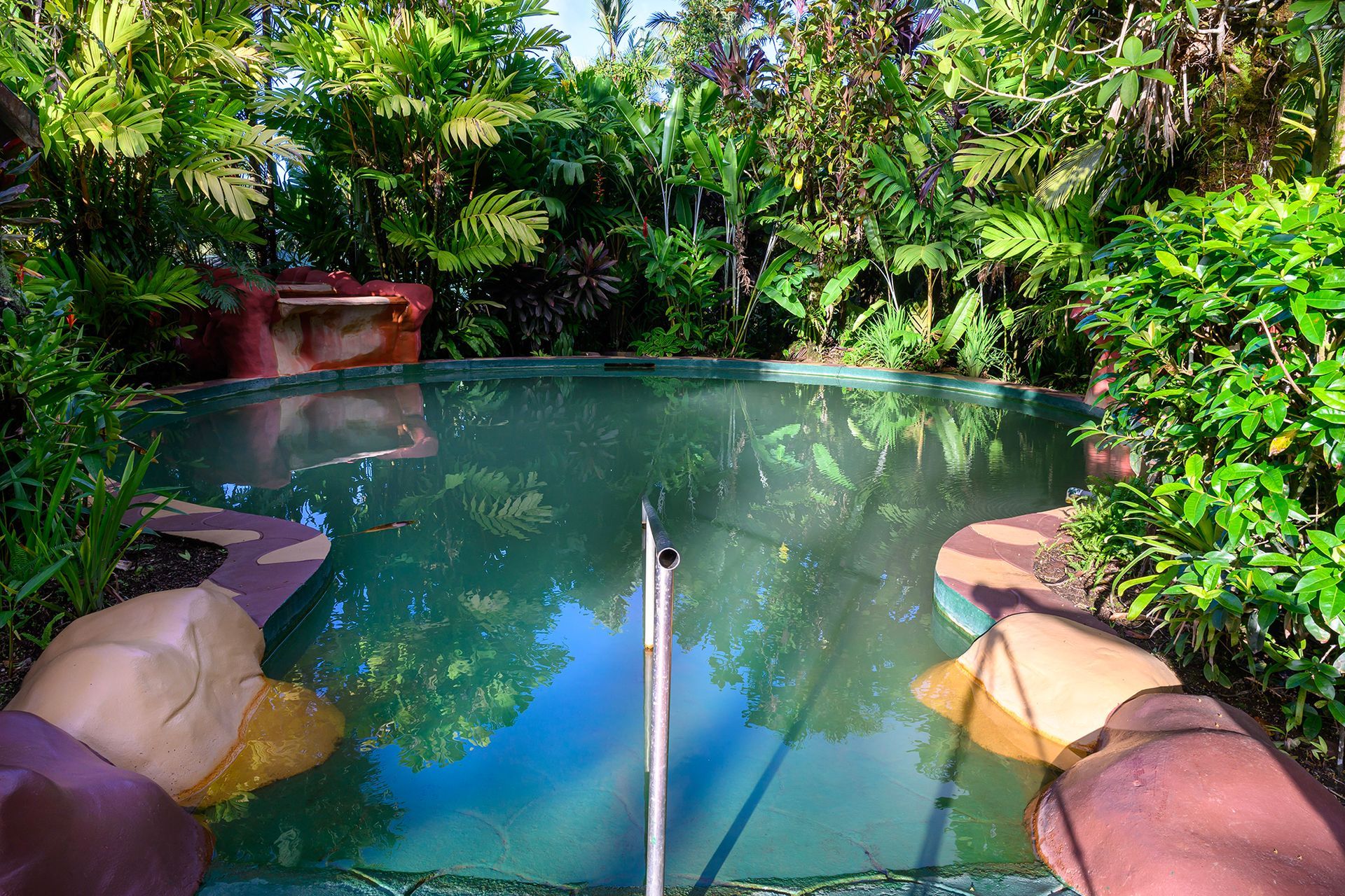 Pool surrounded by tropical plants, with a handrail. Green water.