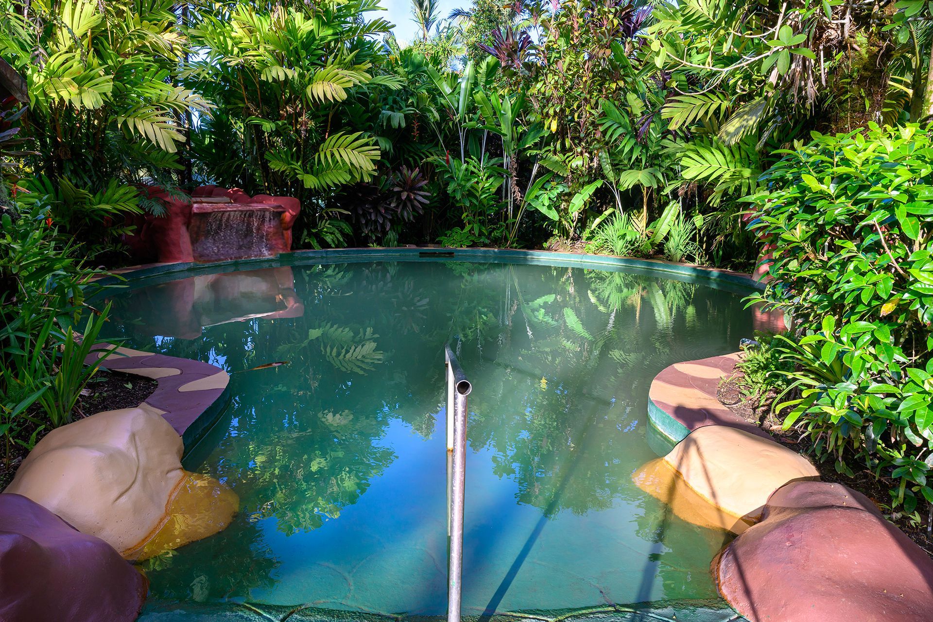 A swimming pool in the middle of a lush green forest in Costa Rica.