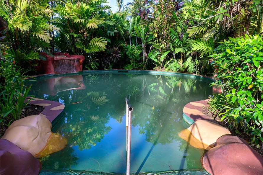 Pool of water surrounded by lush green plants, view from the edge with handrail.