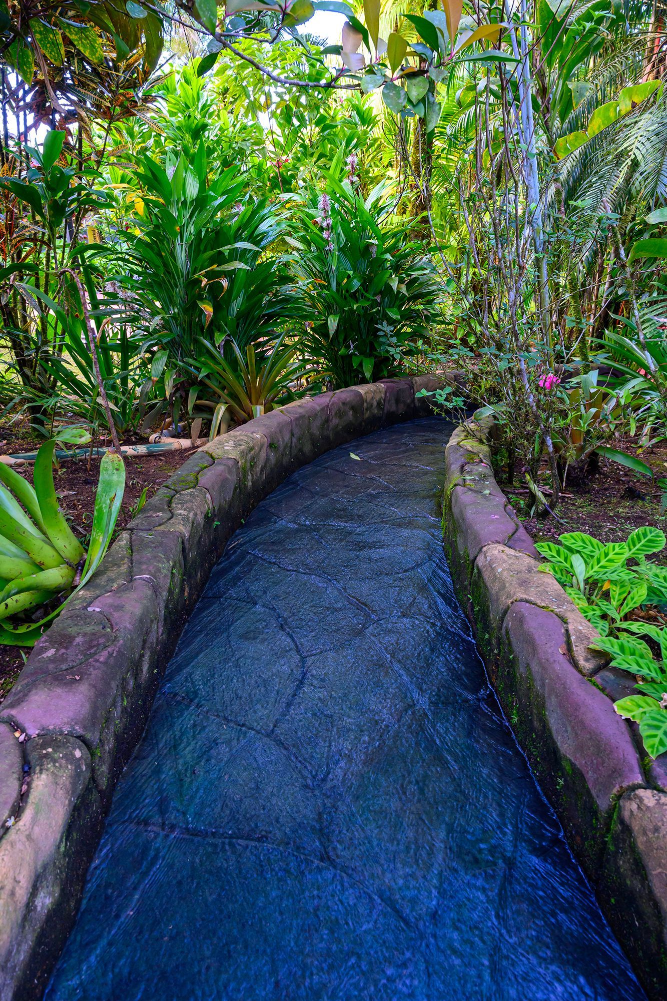Stone-lined water channel through lush green tropical garden.