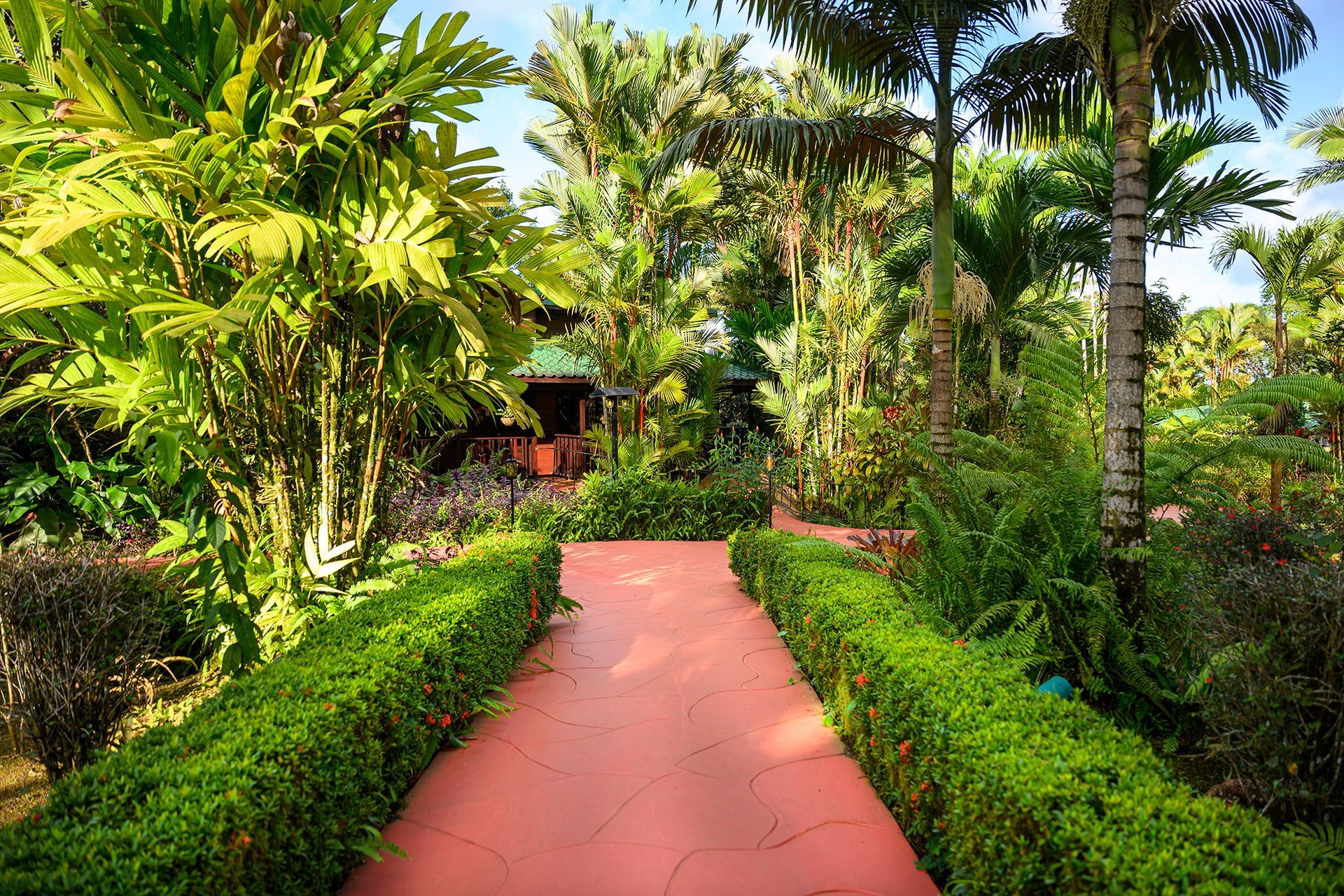 Red brick pathway through lush green tropical plants, leading to a wooden building.