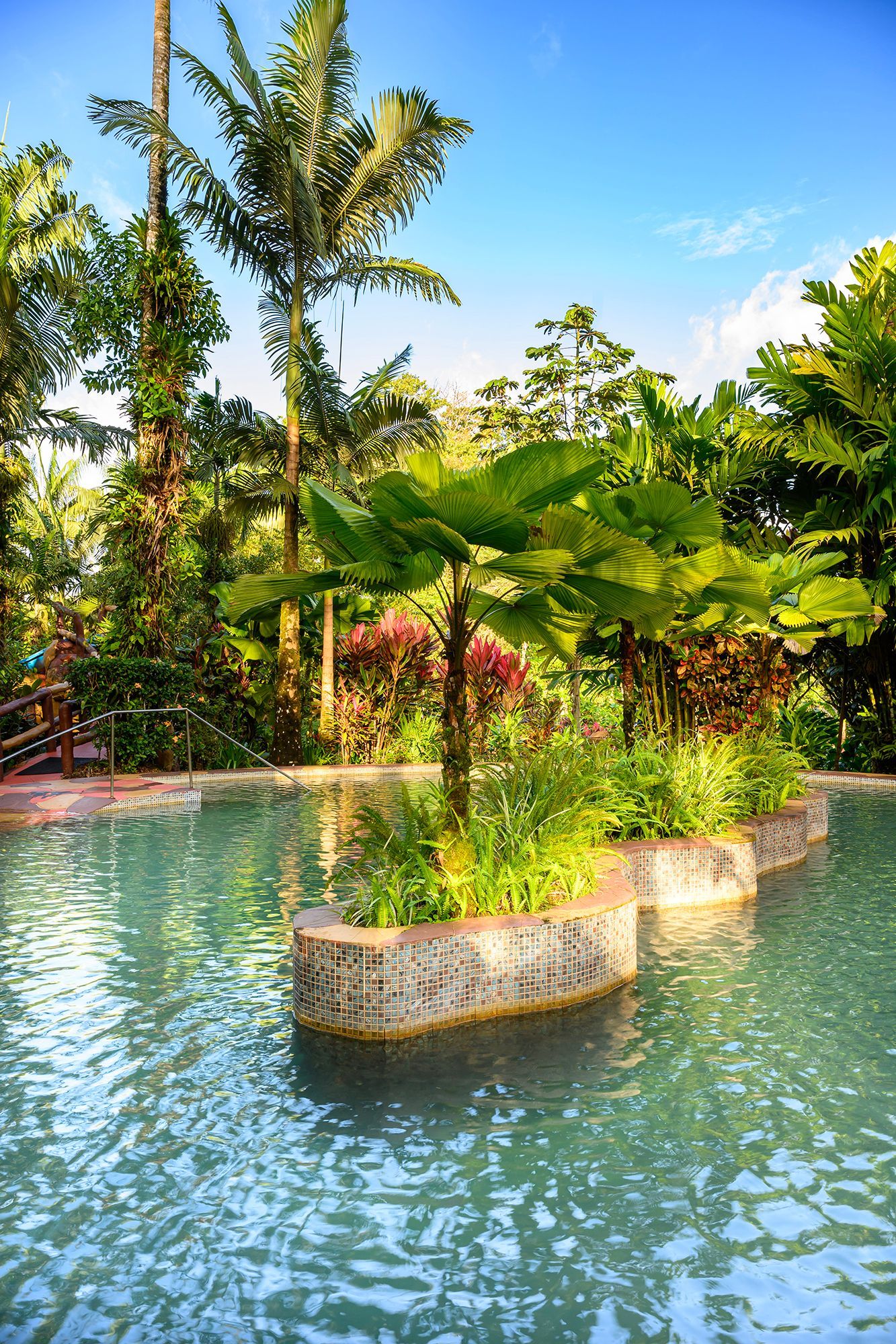 Pool with small islands of tropical plants, surrounded by lush green foliage and blue sky.