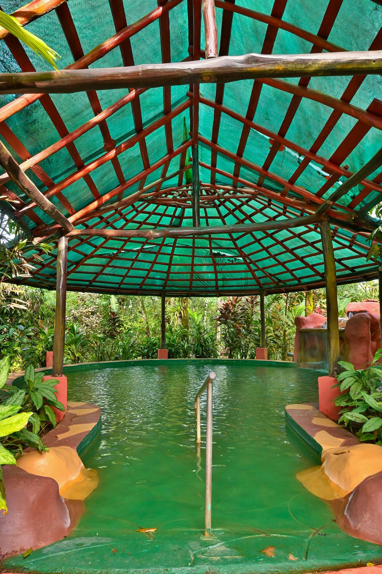 A covered outdoor pool with green water. Green shade structure, wooden beams, surrounded by plants and brick.