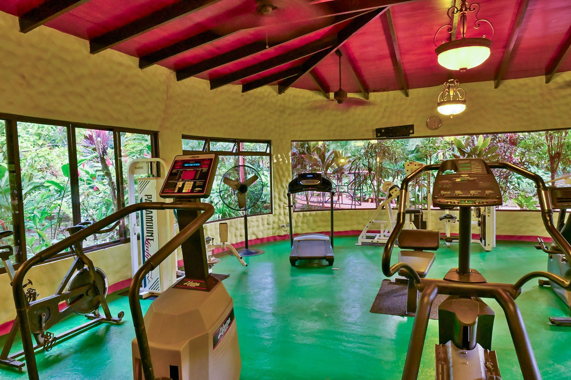 Gym interior with exercise machines, green floor, windows, red ceiling.