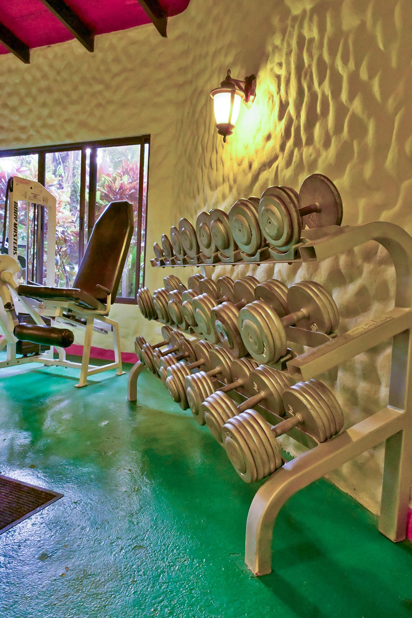 Row of dumbbells on a rack in a home gym with a weight bench and outdoor view. Green floor, white walls.