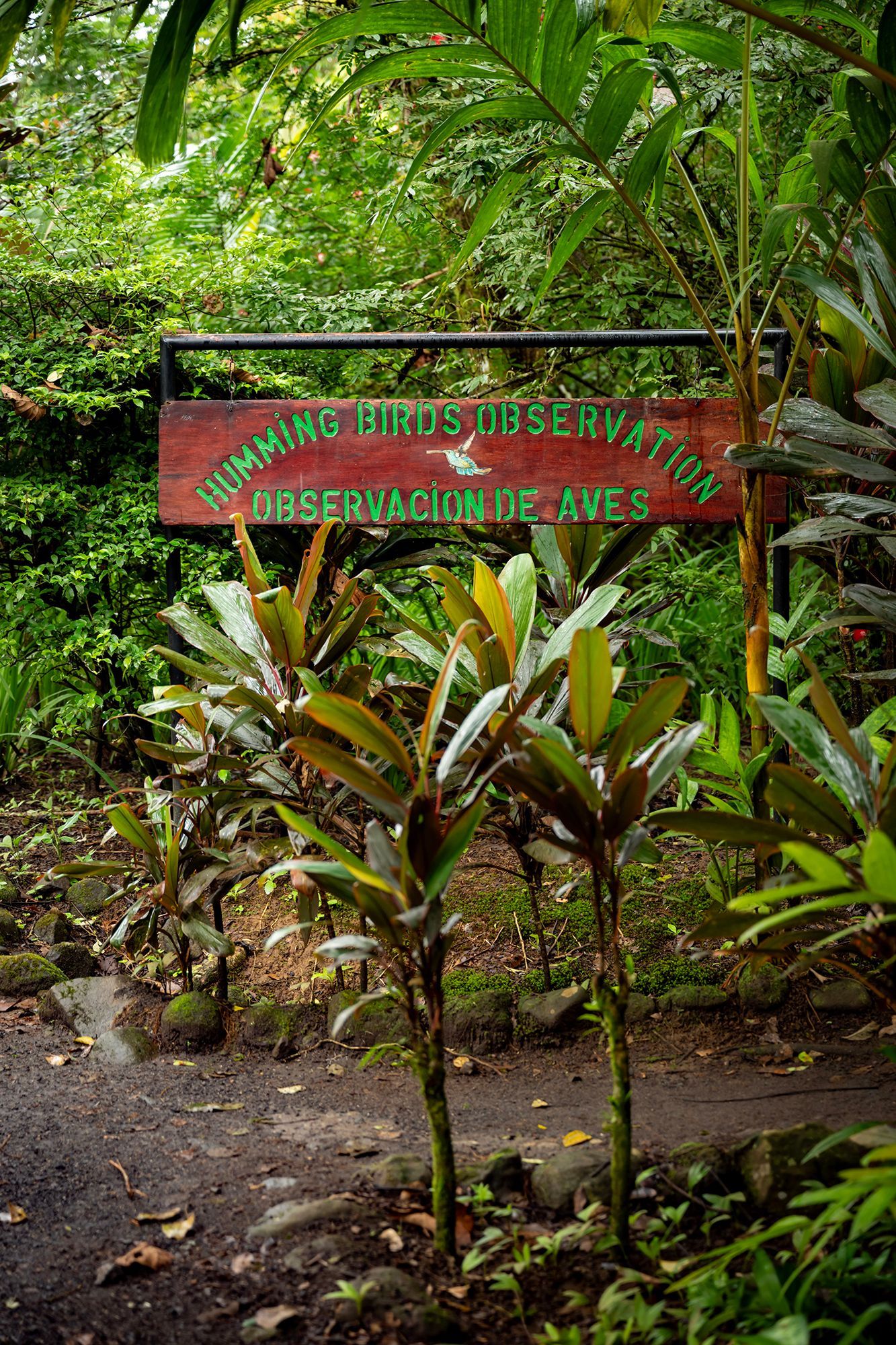 Sign for Hummingbird Reservation in a lush, green, outdoor setting.