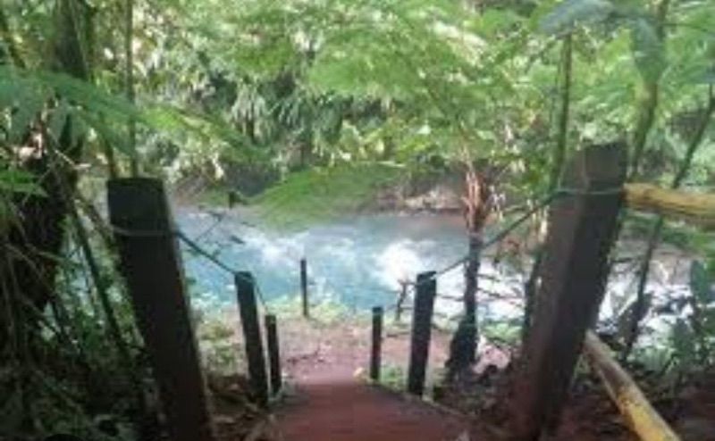 Wooden stairs lead down to a blue-green pool in a forest.