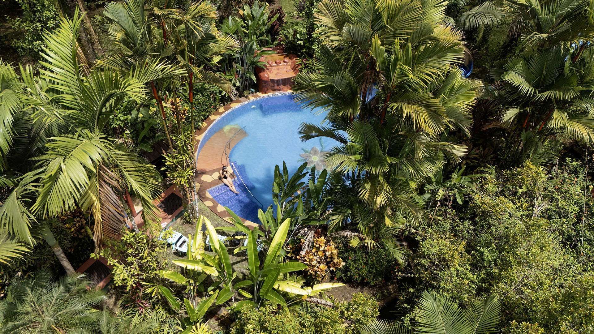 Aerial view of a small blue swimming pool surrounded by dense tropical palm trees and lush greenery.