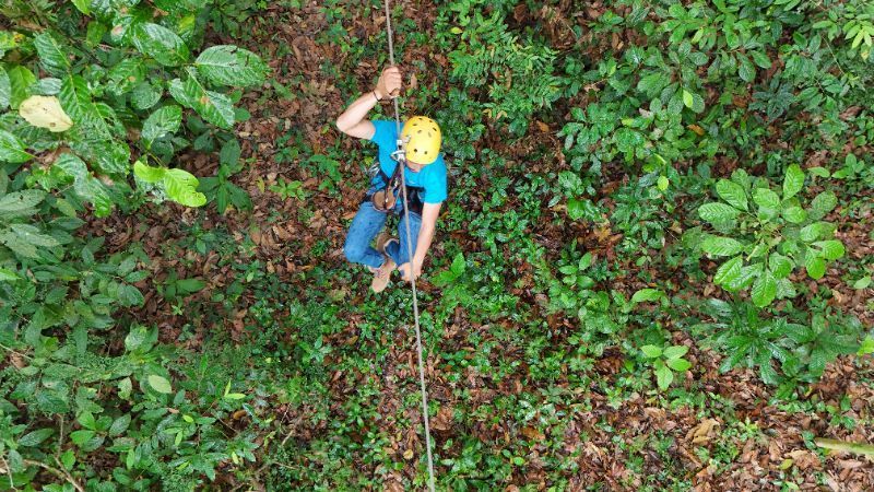 Person rappelling down a rope in a lush green forest, wearing a yellow helmet.