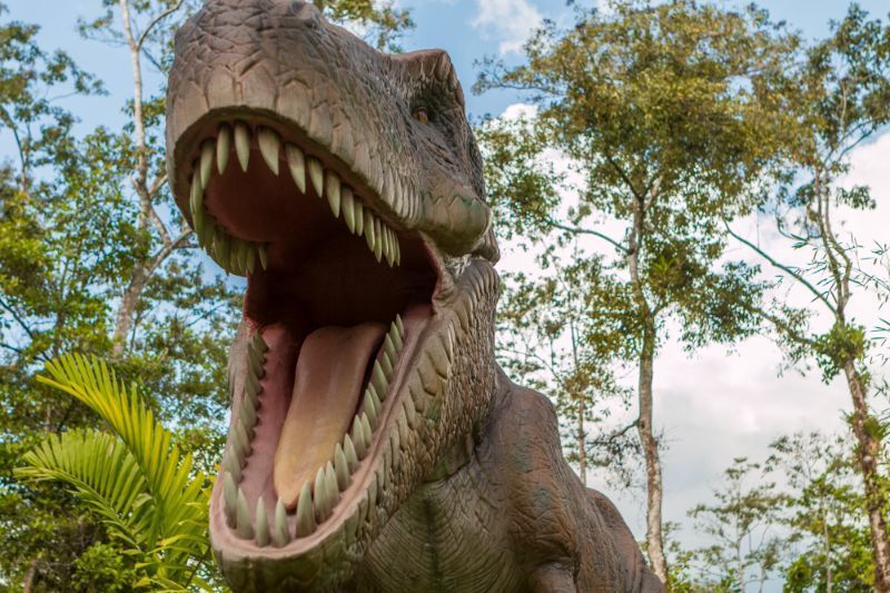 Large Tyrannosaurus Rex statue, mouth open, outdoors. Brown, gray, and tan. Trees in background.