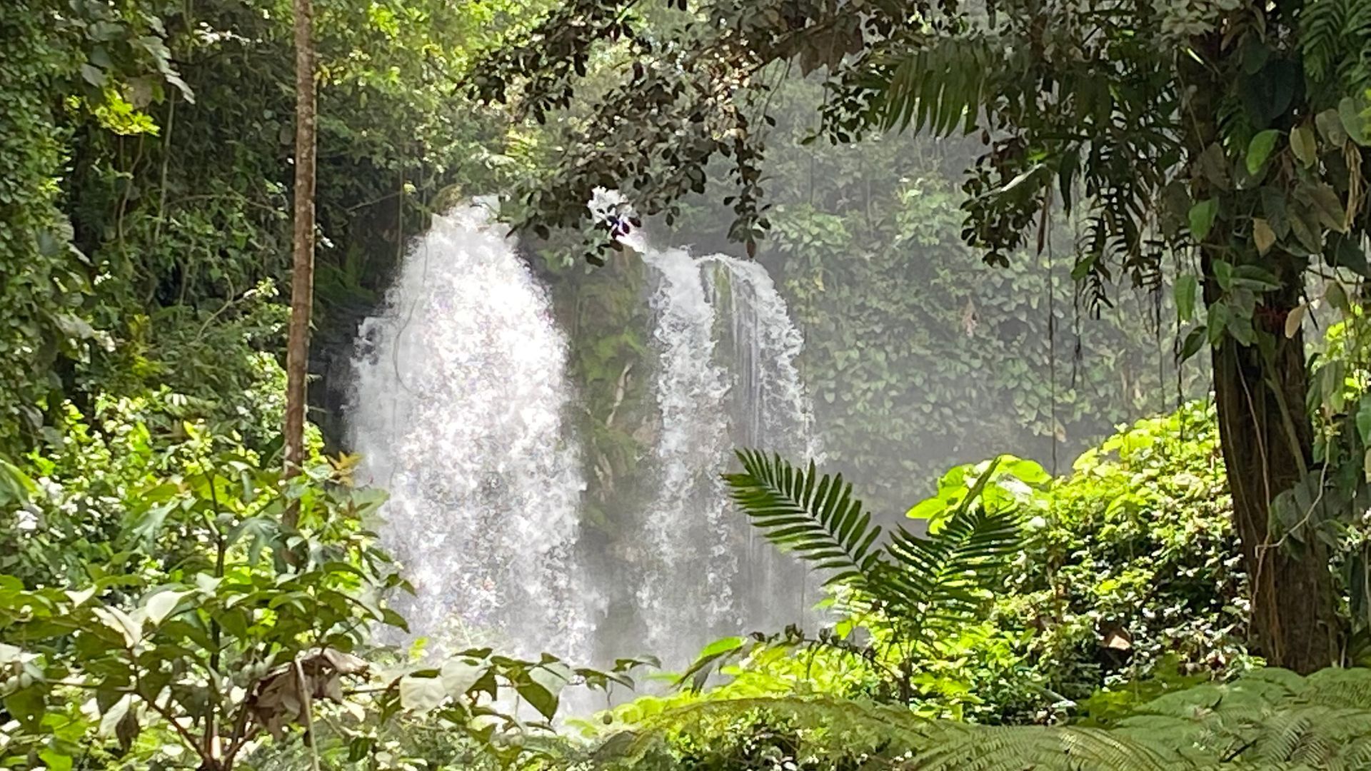 Waterfall cascading through lush green foliage.