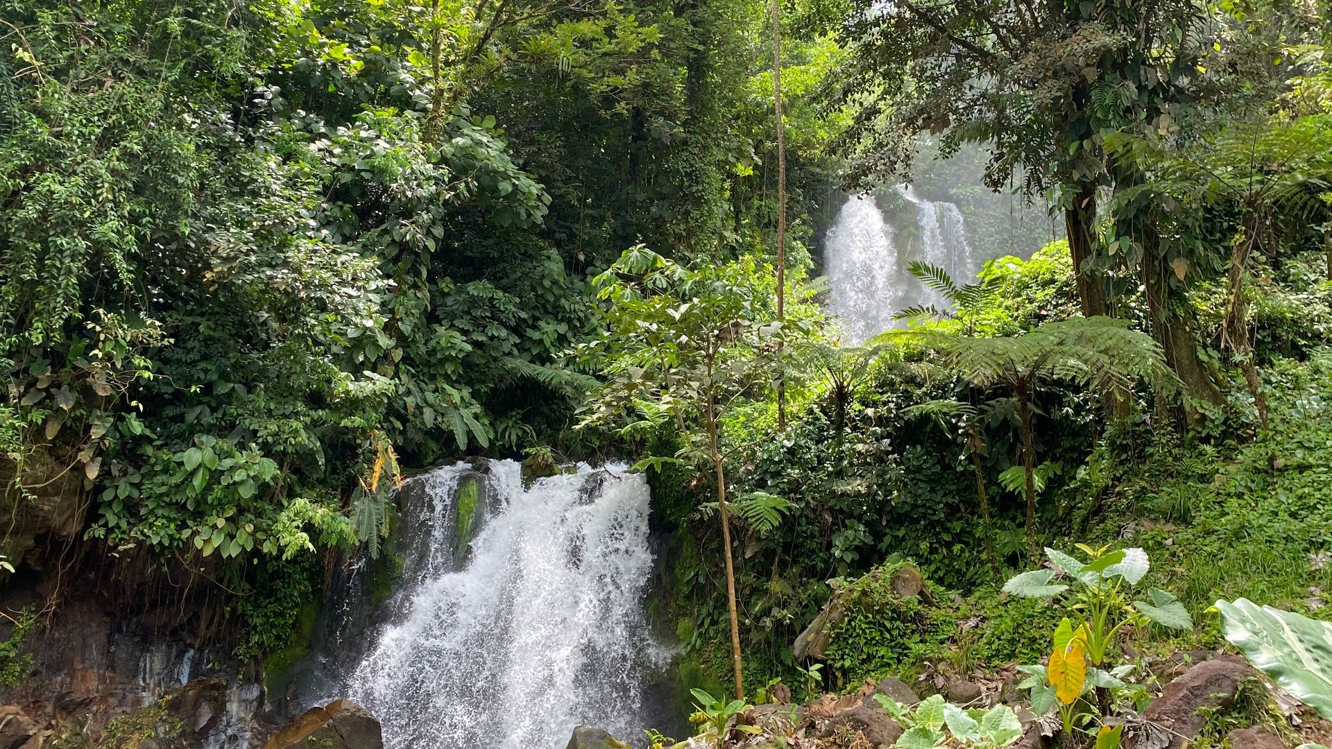 Waterfalls cascading through lush green vegetation.