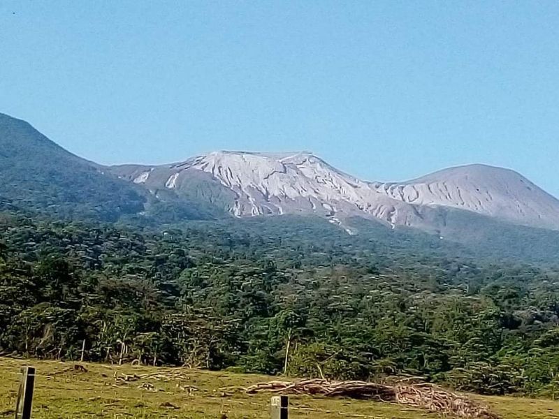 Lush green forest at base of a gray mountain under a clear blue sky.
