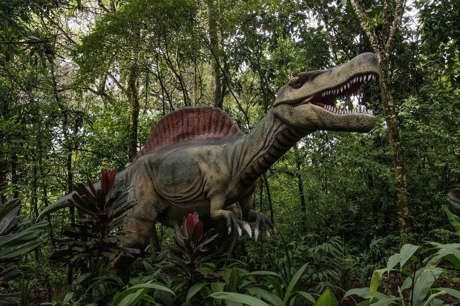 A dinosaur is standing in the middle of a forest in Costa Rica.