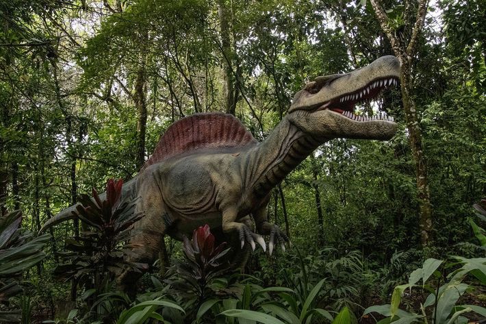 Spinosaurus dinosaur statue in lush green forest with open mouth.