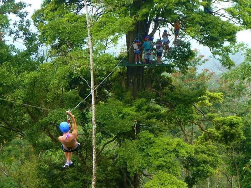 Person ziplining through a lush green rainforest; others await on a platform in a large tree.