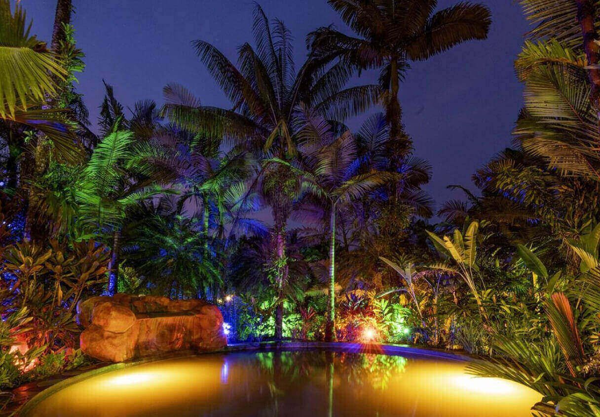 Nighttime tropical garden with palm trees and a pool illuminated with colorful lights.
