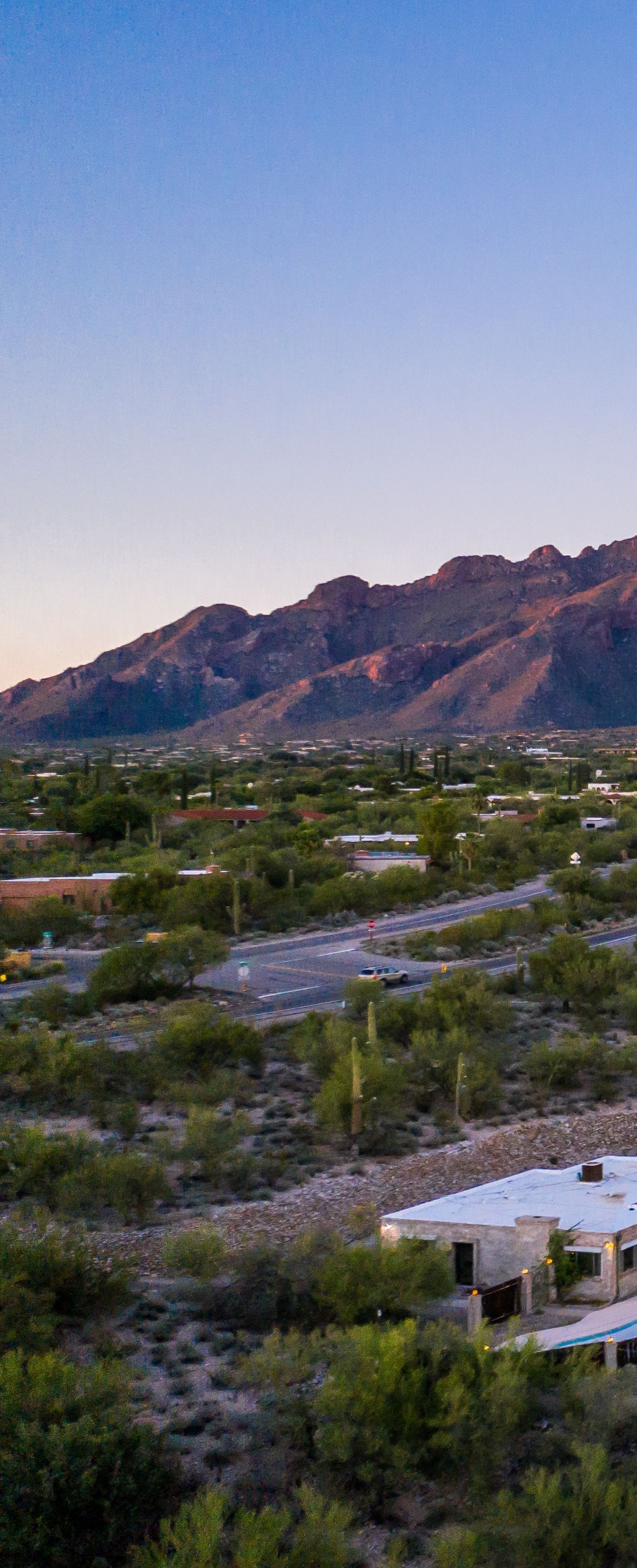 BUYING IN TUCSON