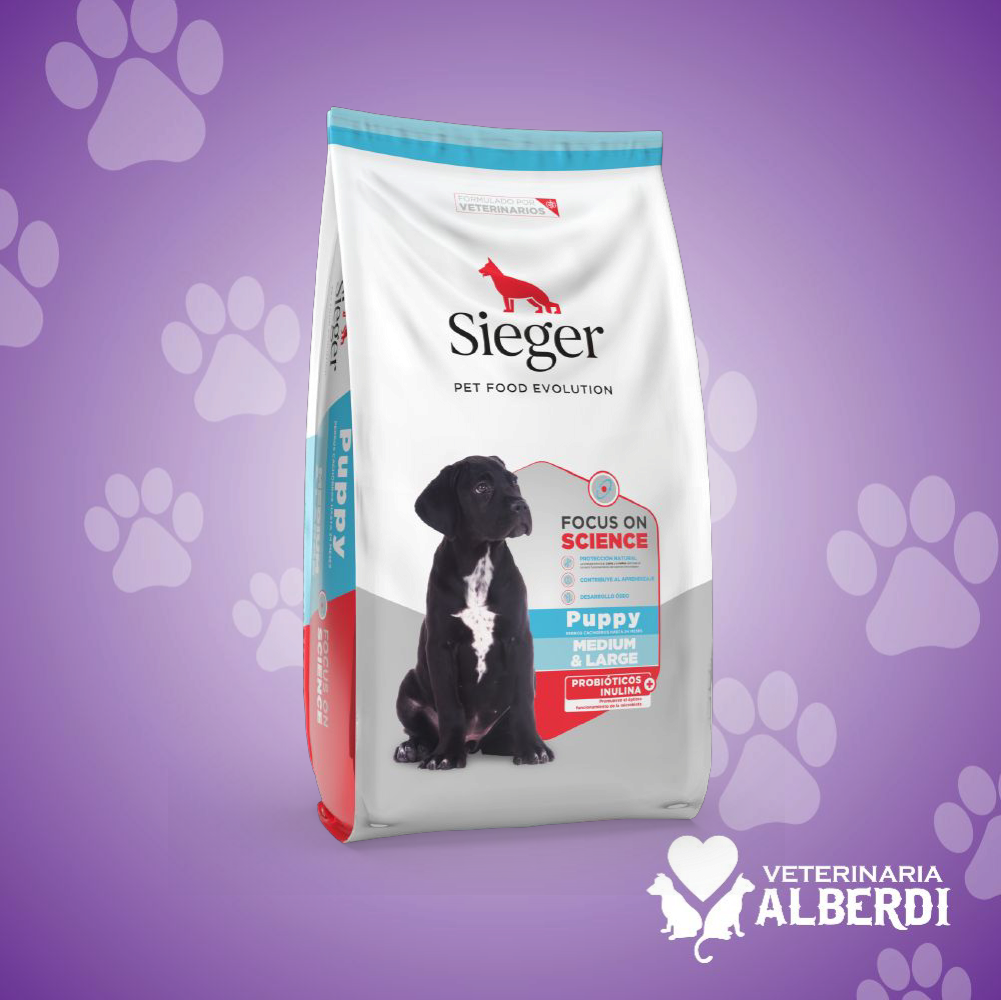 SIEGER