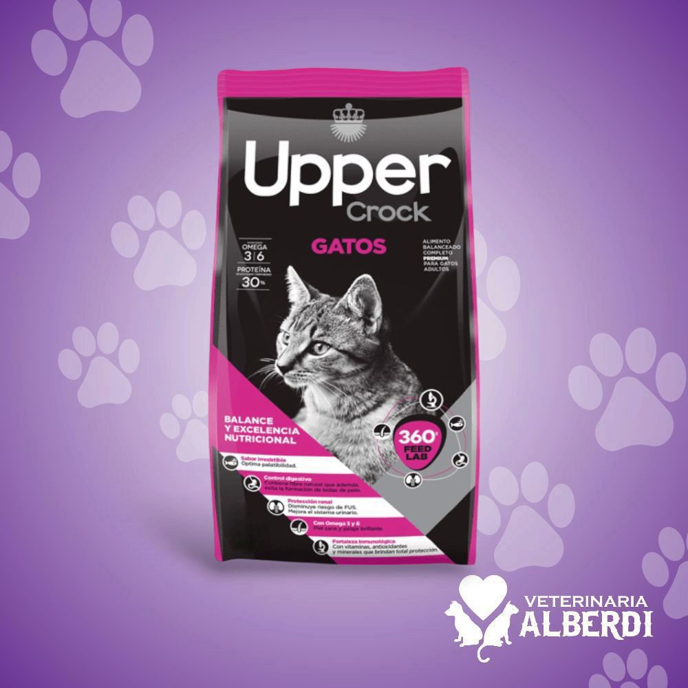 UPPER
