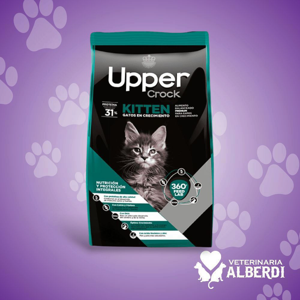 UPPER