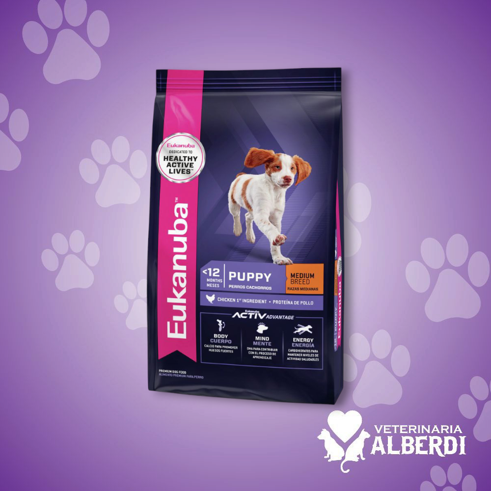 EUKANUBA CACHORRO