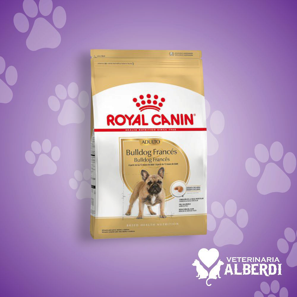 ROYAL CANIN BULLDOG FRANCÉS