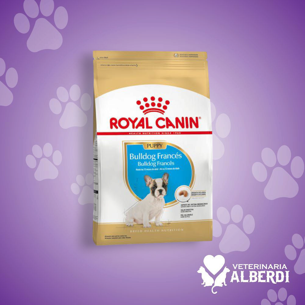 ROYAL CANIN BULLDOG FRANCÉS