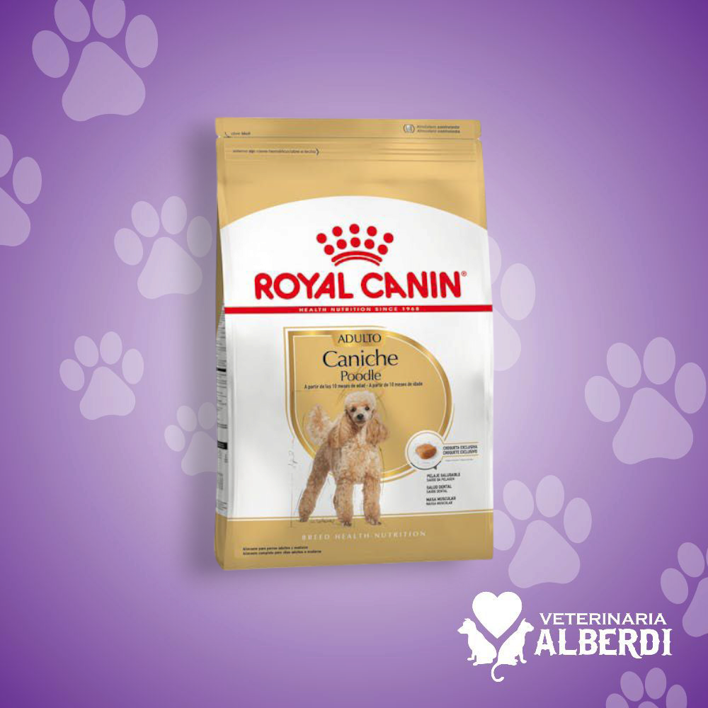 ROYAL CANIN