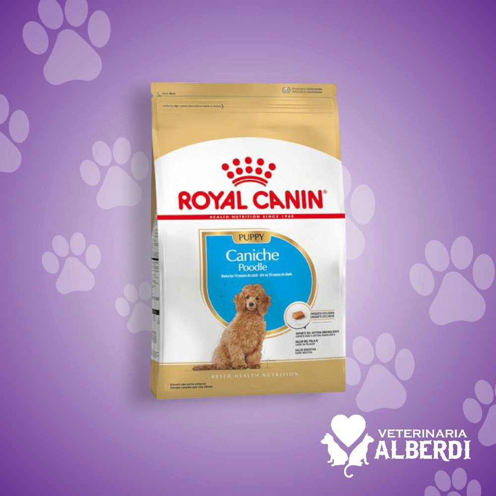 ROYAL CANIN
