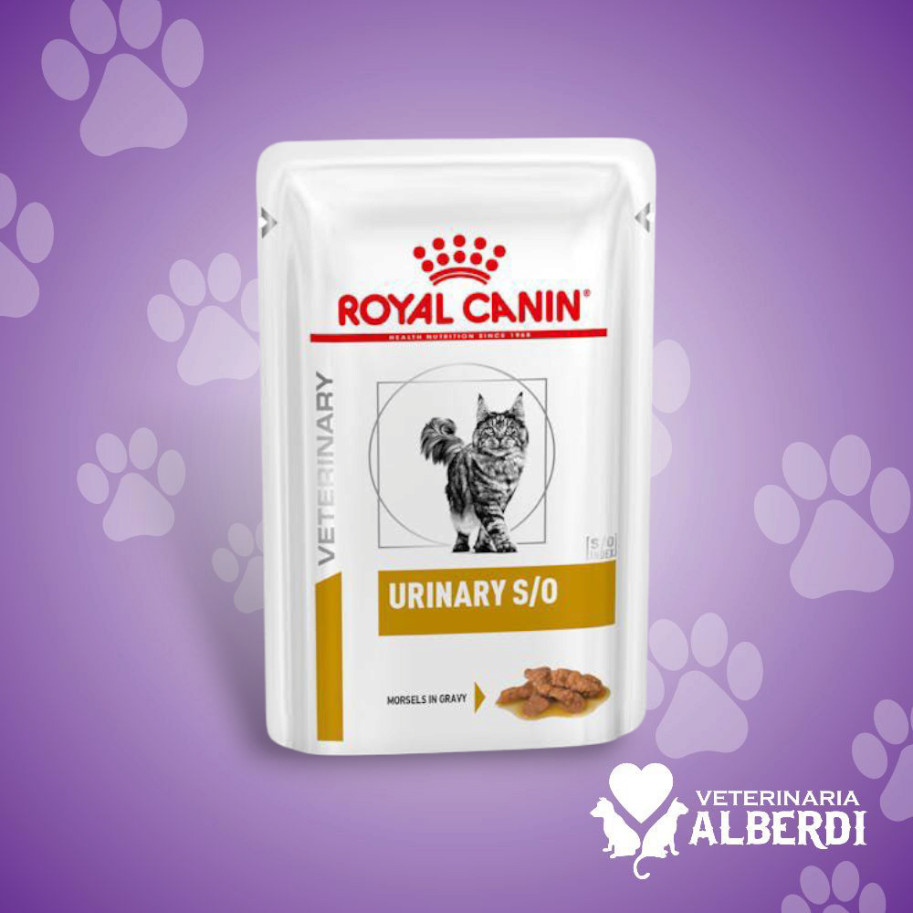 ROYAL CANIN