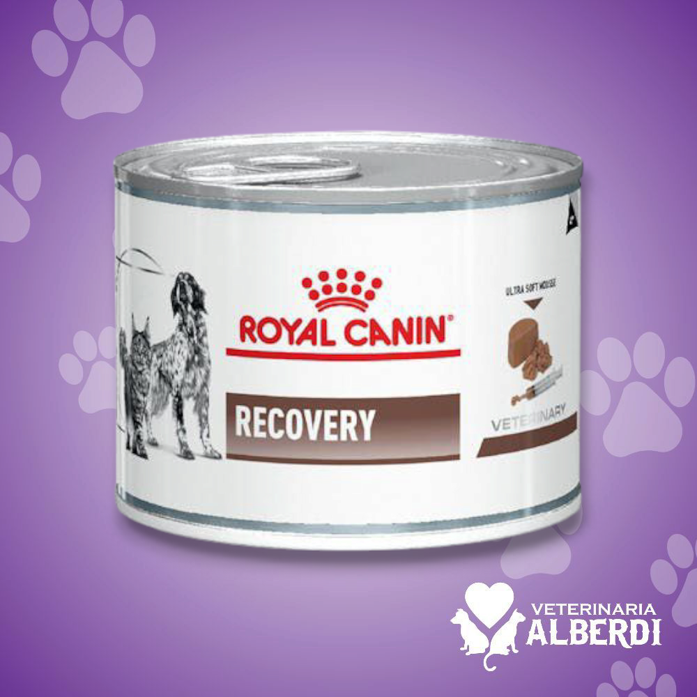 ROYAL CANIN