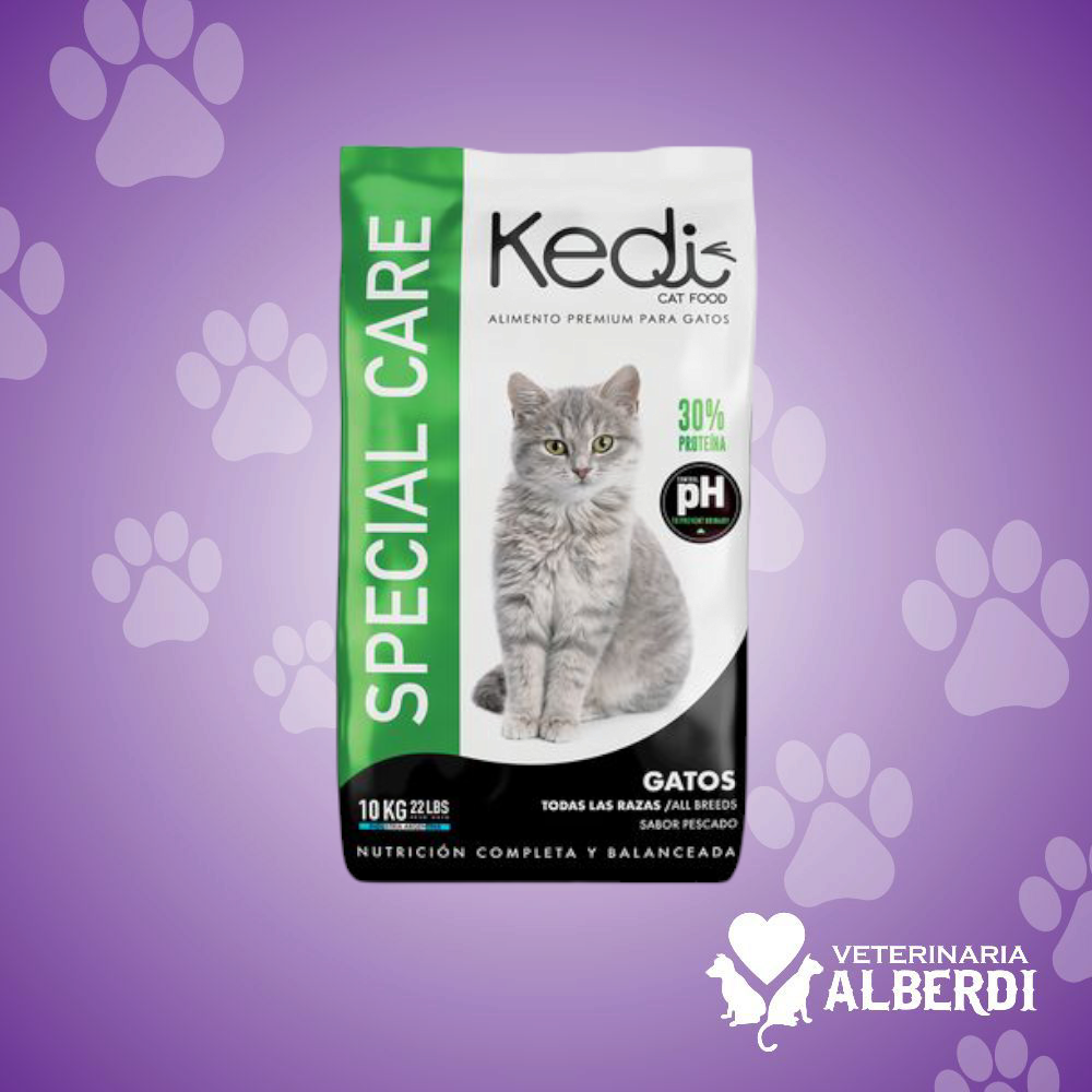 KEDI
