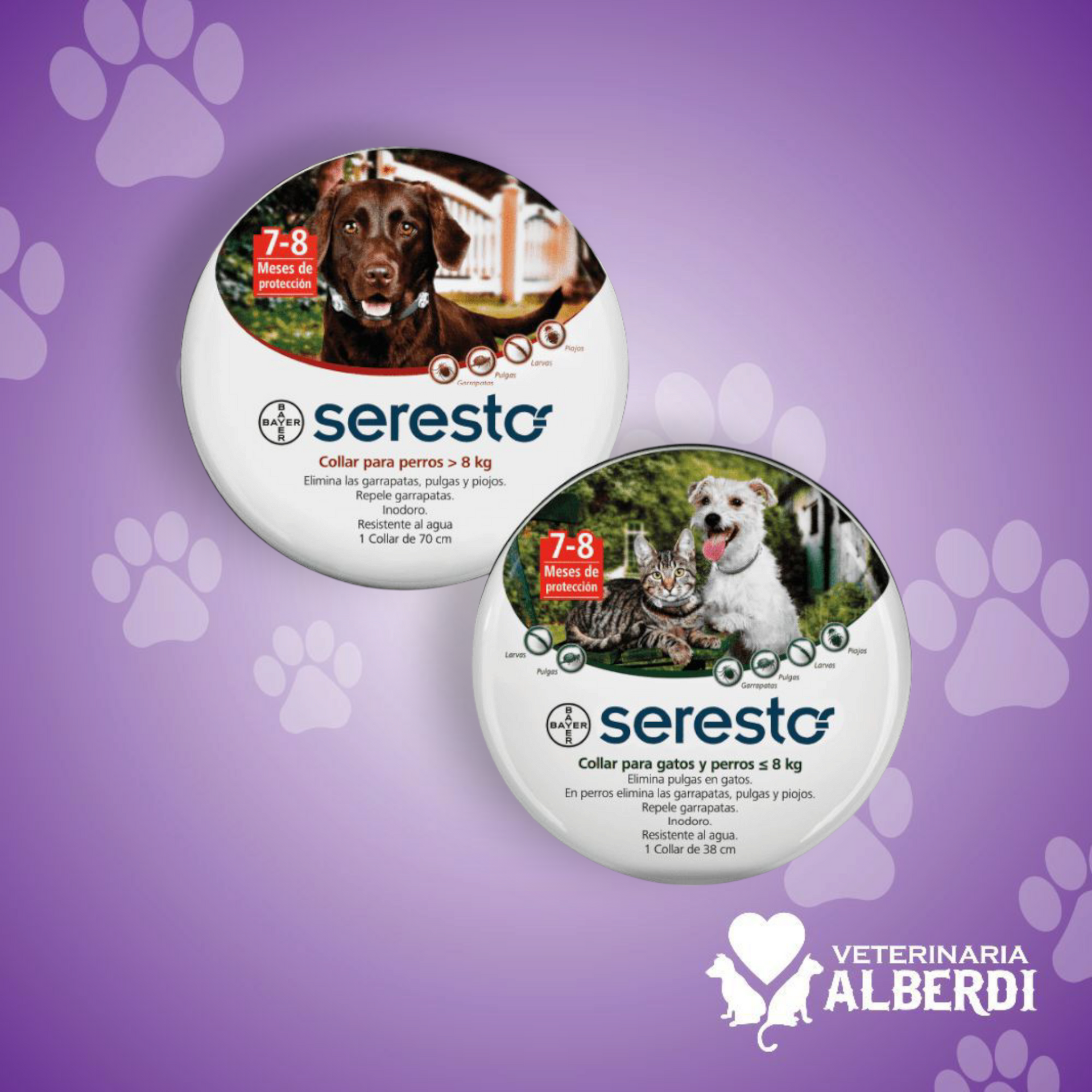 SERESTO