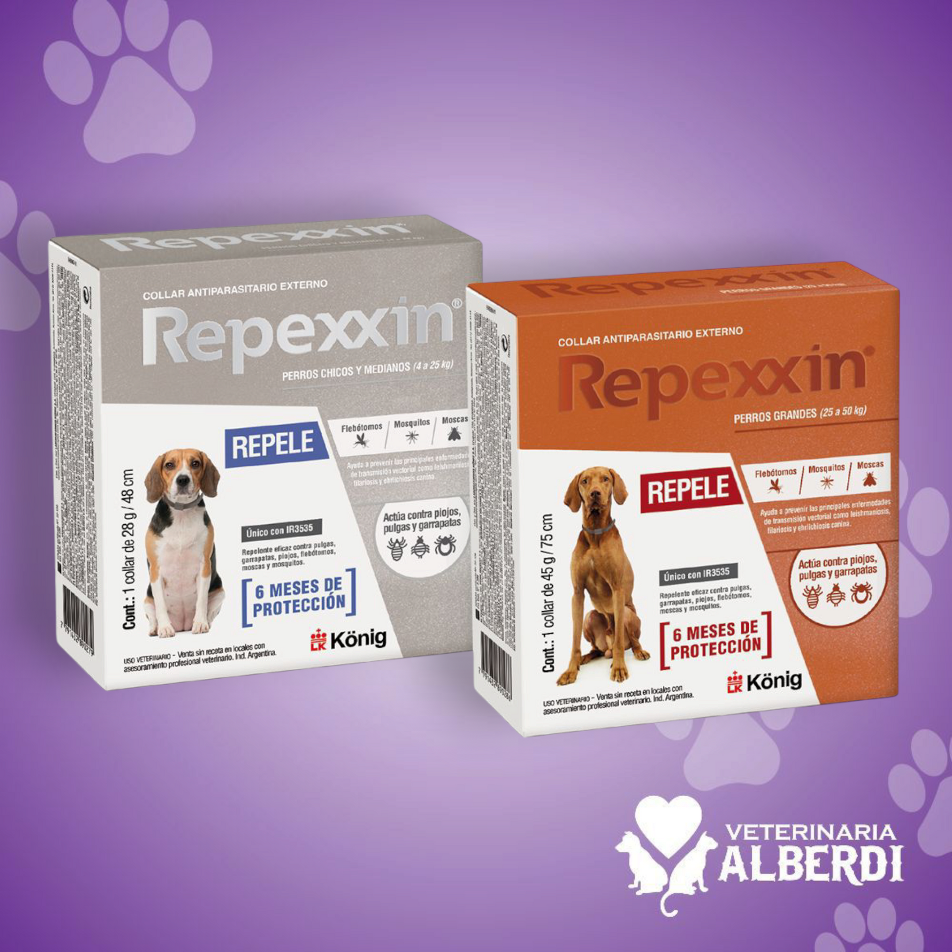 REPEXXIN