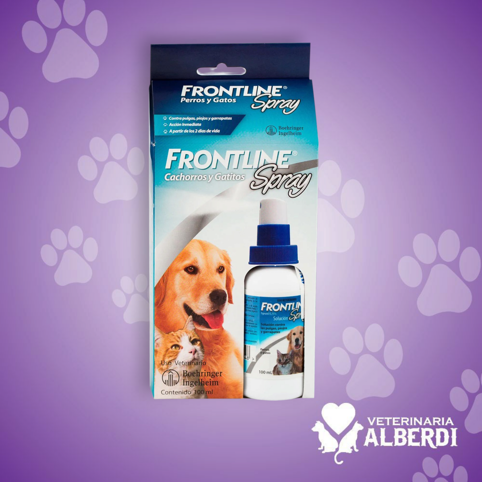 FRONTLINE