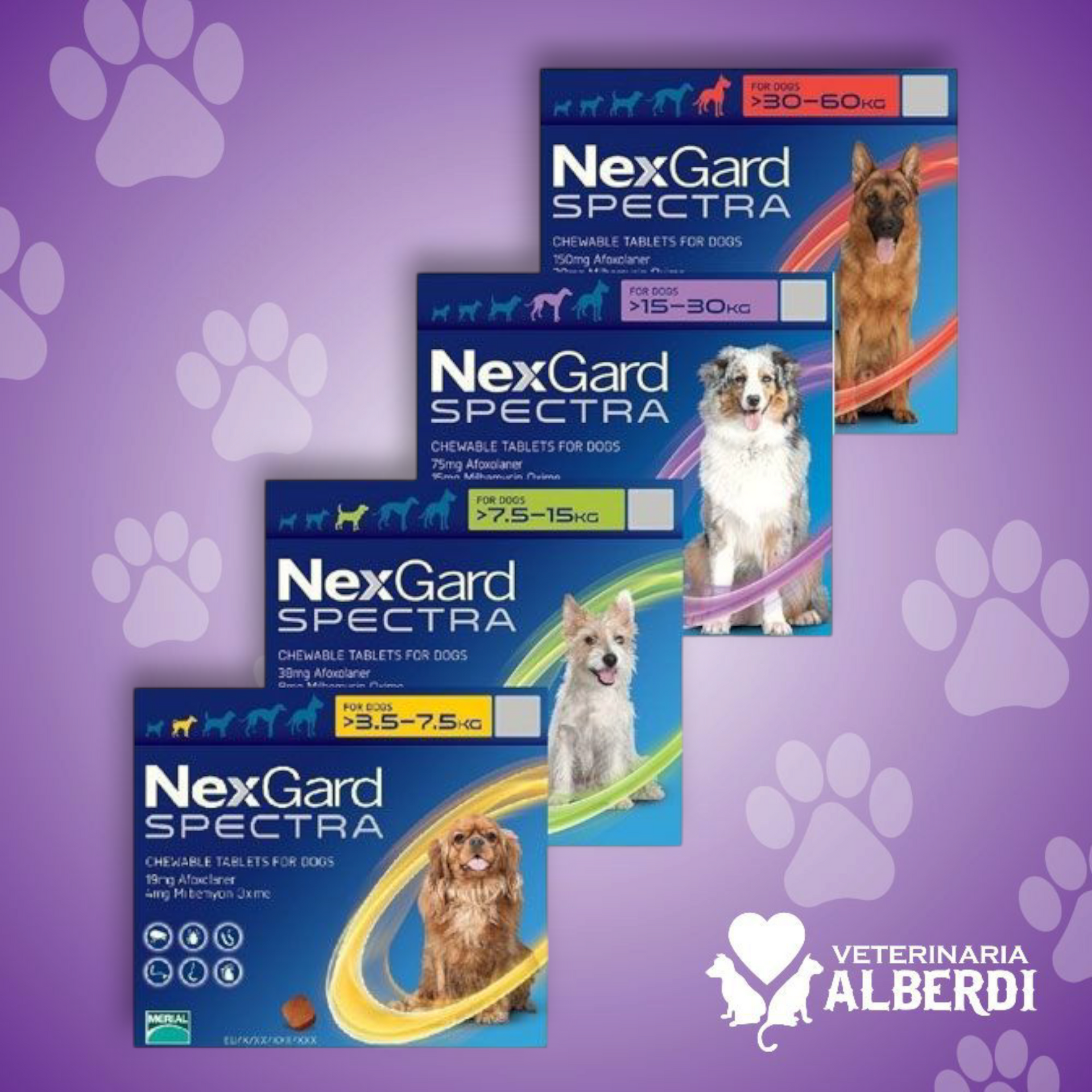 NEXGARD SPECTRA