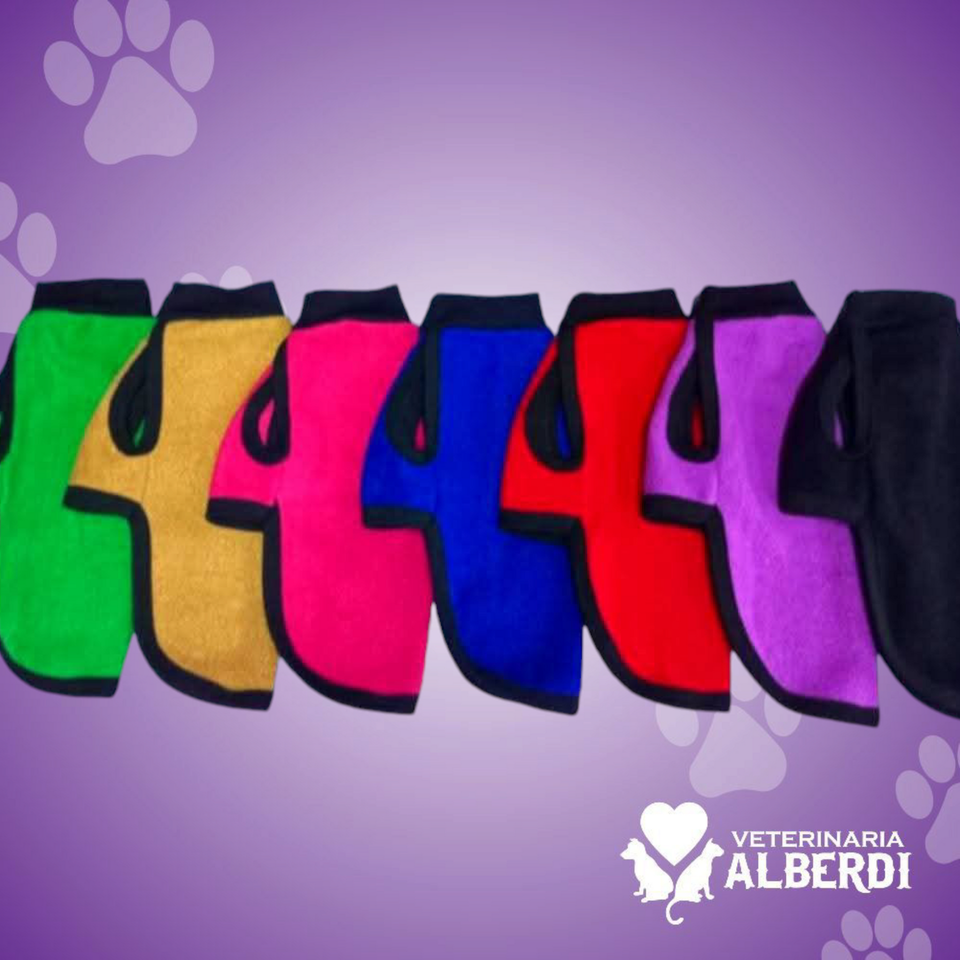 CAPAS POLARES