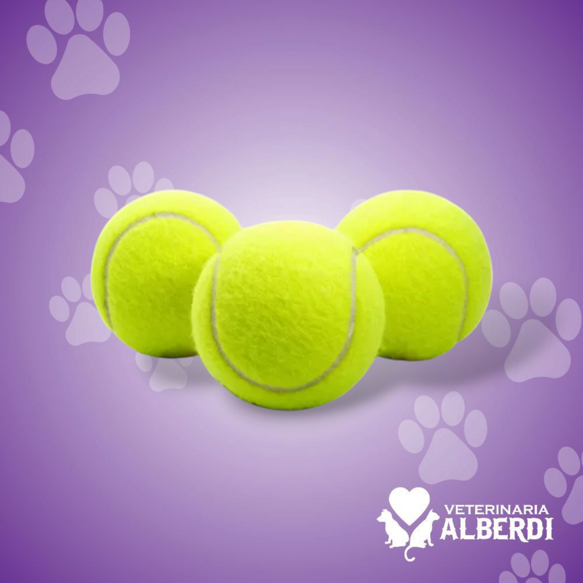 ACCESORIOS PARA MASCOTAS
