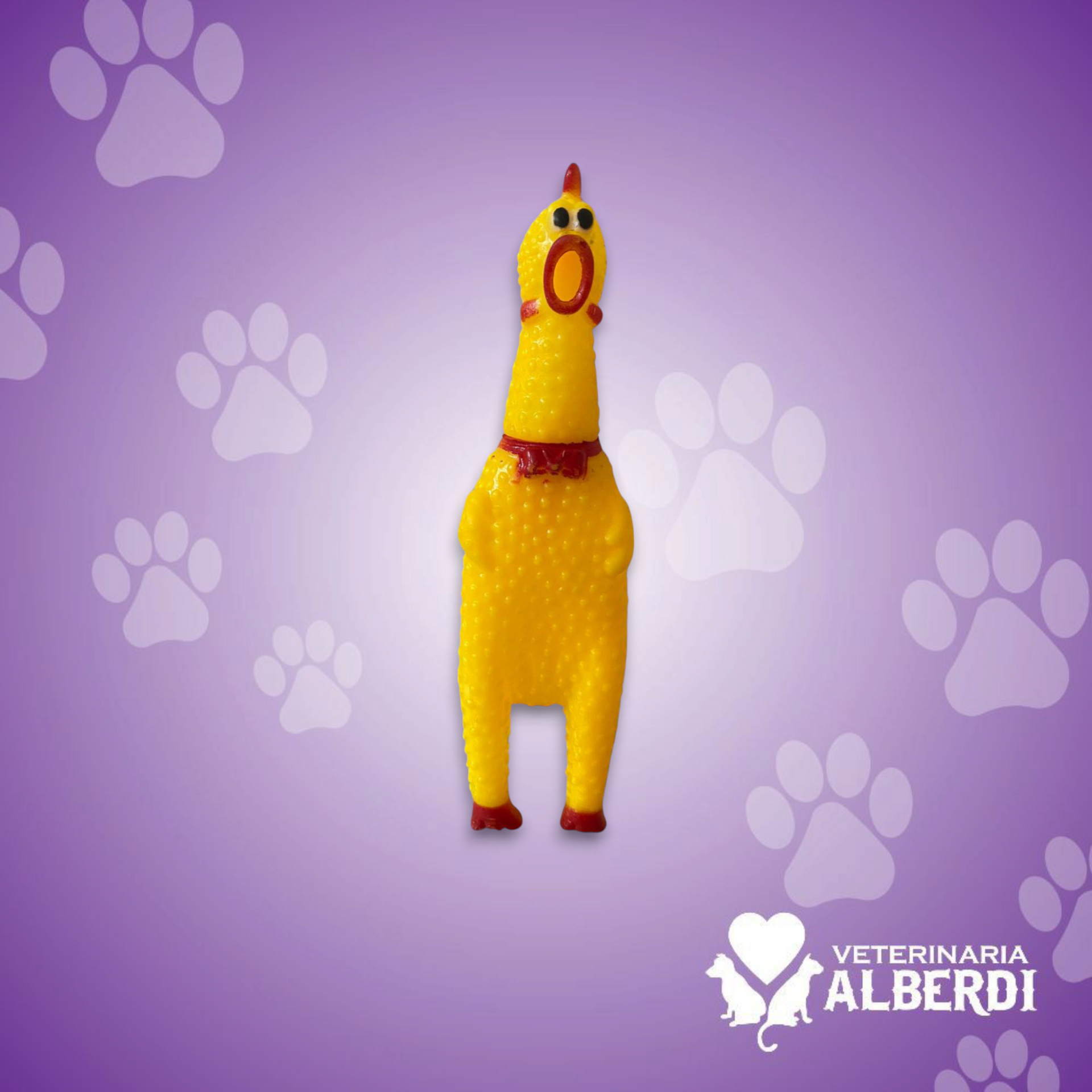 ACCESORIOS PARA MASCOTAS