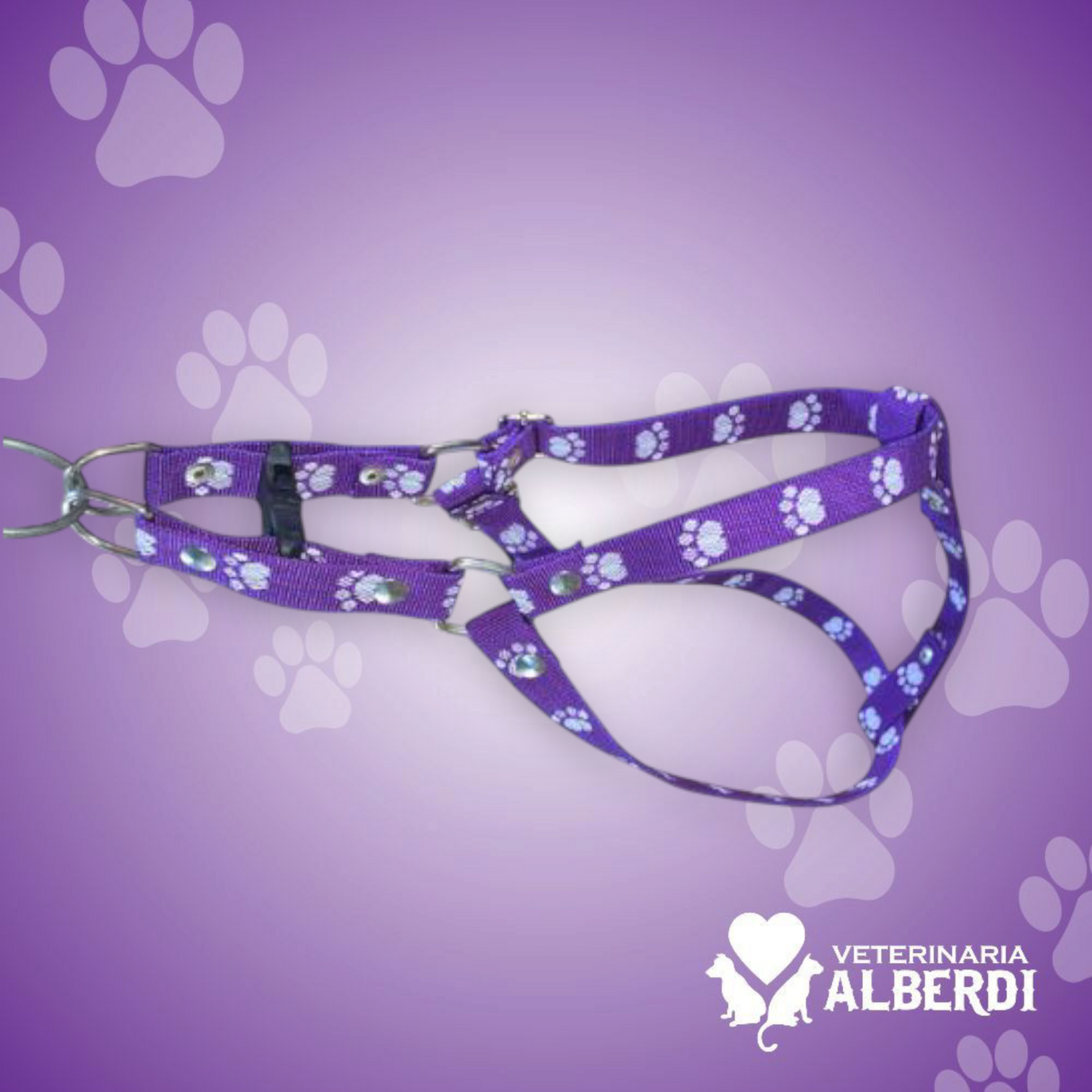 ACCESORIOS PARA MASCOTAS