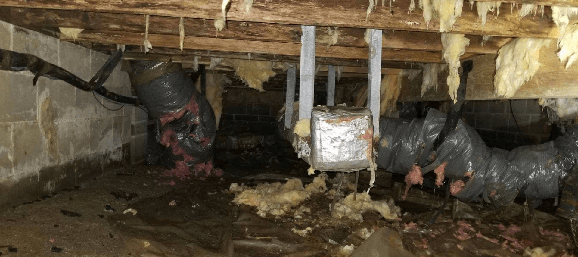 Workers crawl under a house in a muddy crawlspace, inspecting pipes and supports.