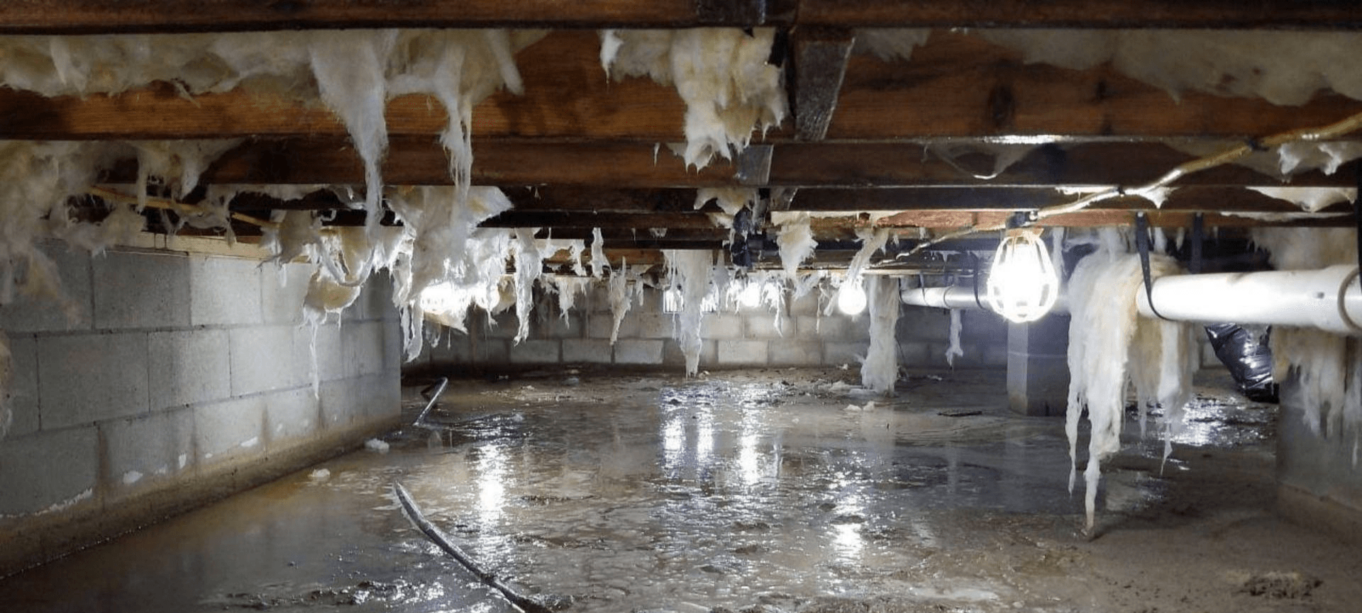 Flooded basement with standing water, exposed beams, and hanging insulation over a concrete floor