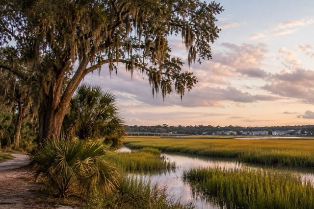 Coastal Lowcountry landscape near Park Circle, South Carolina